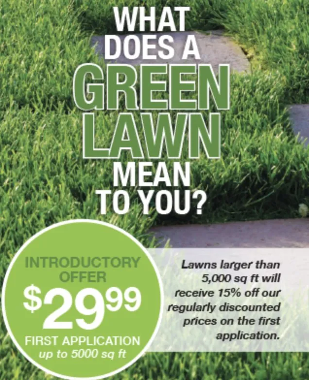 Reliable landscaping services in Van Meter, IA - All American Turf Beauty