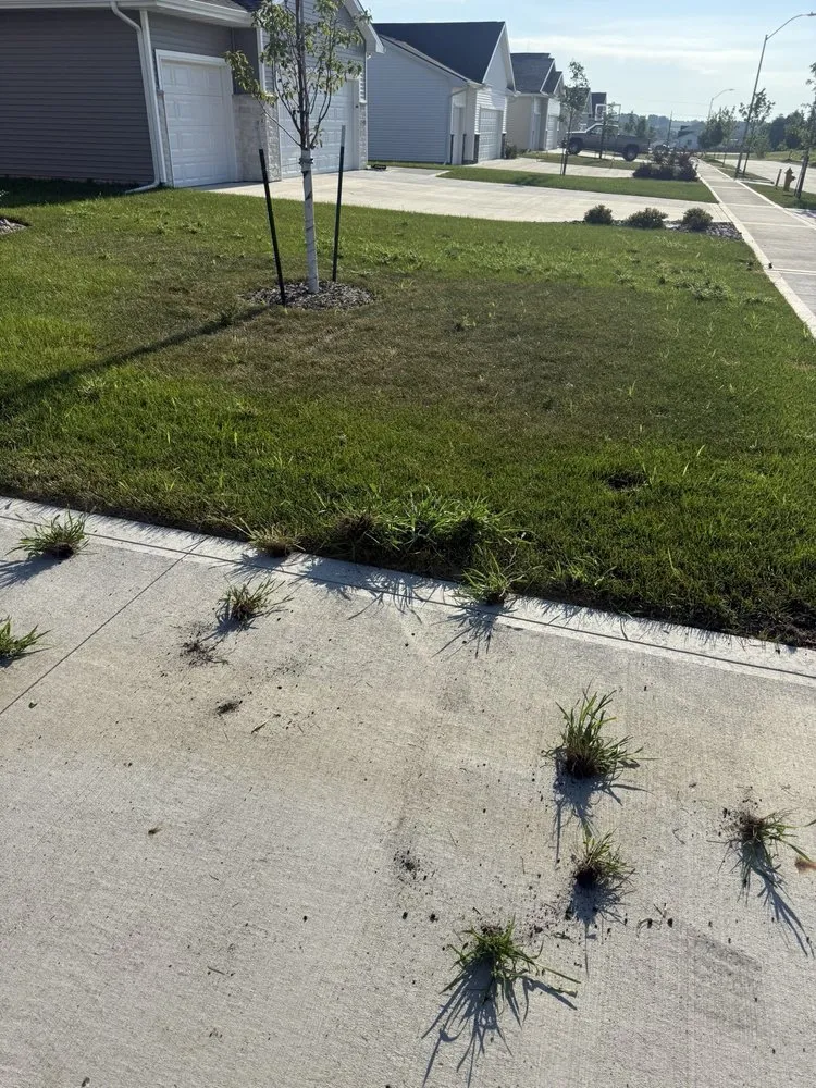 Professional outdoor landscaping in Van Meter, IA by All American Turf Beauty