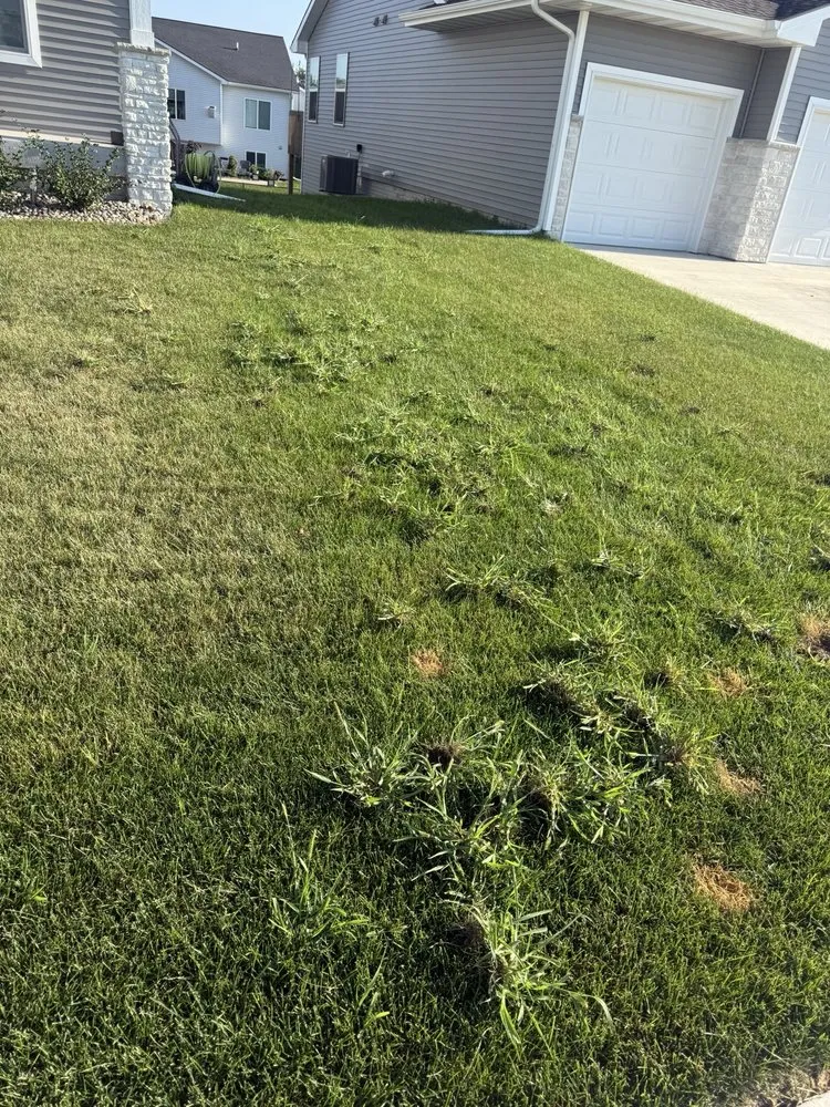 Professional landscape design in Van Meter, IA by All American Turf Beauty