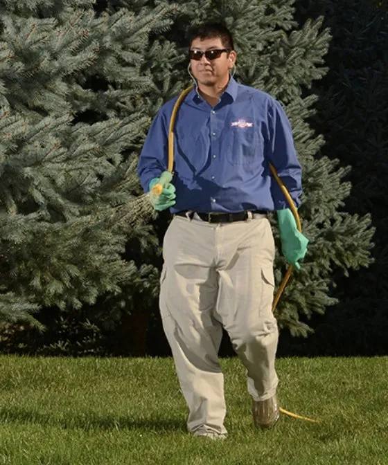 Local yard cleanup service experts serving Van Meter, IA - All American Turf Beauty