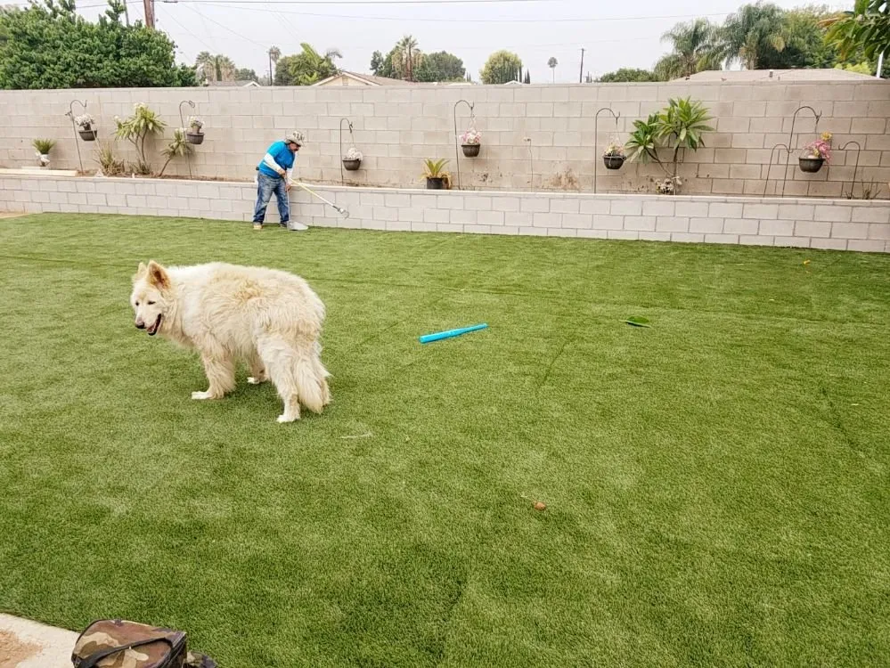 Affordable residential landscaping for homes in Whittier, CA by All American Turf Pro's