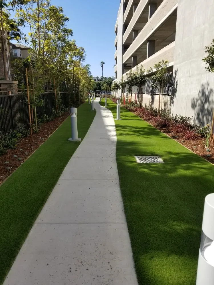 Affordable yard maintenance for beautiful yards across Whittier, CA - All American Turf Pro's