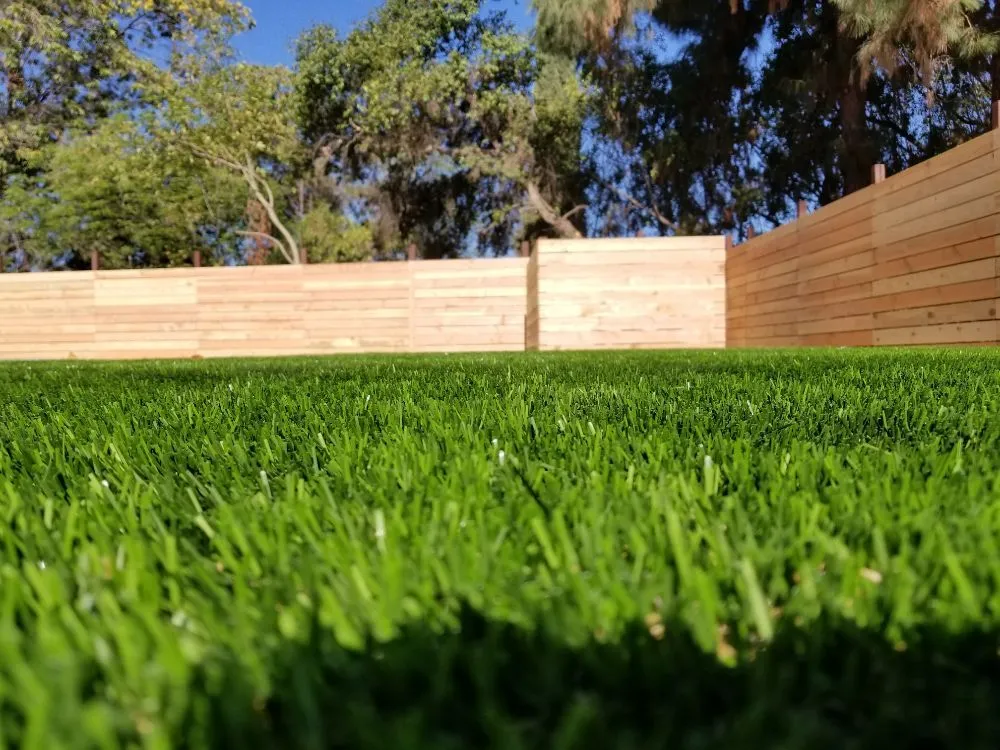 Reliable lawn mowing service near you in Whittier, CA by All American Turf Pro's