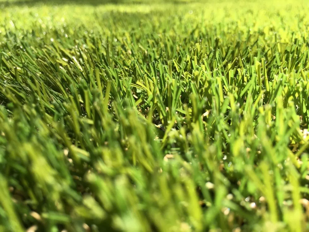 Professional landscaping services experts serving Whittier, CA - All American Turf Pro's