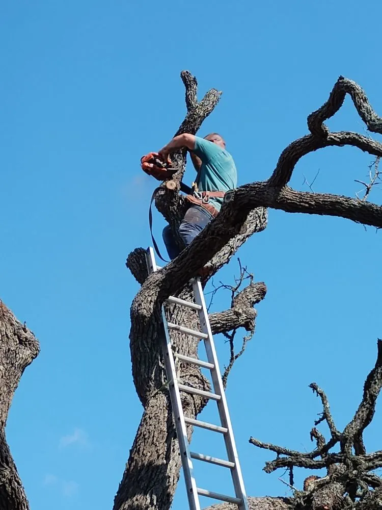 Custom residential landscaping for residential properties across Gatesville, TX - All American Wood & Landscape