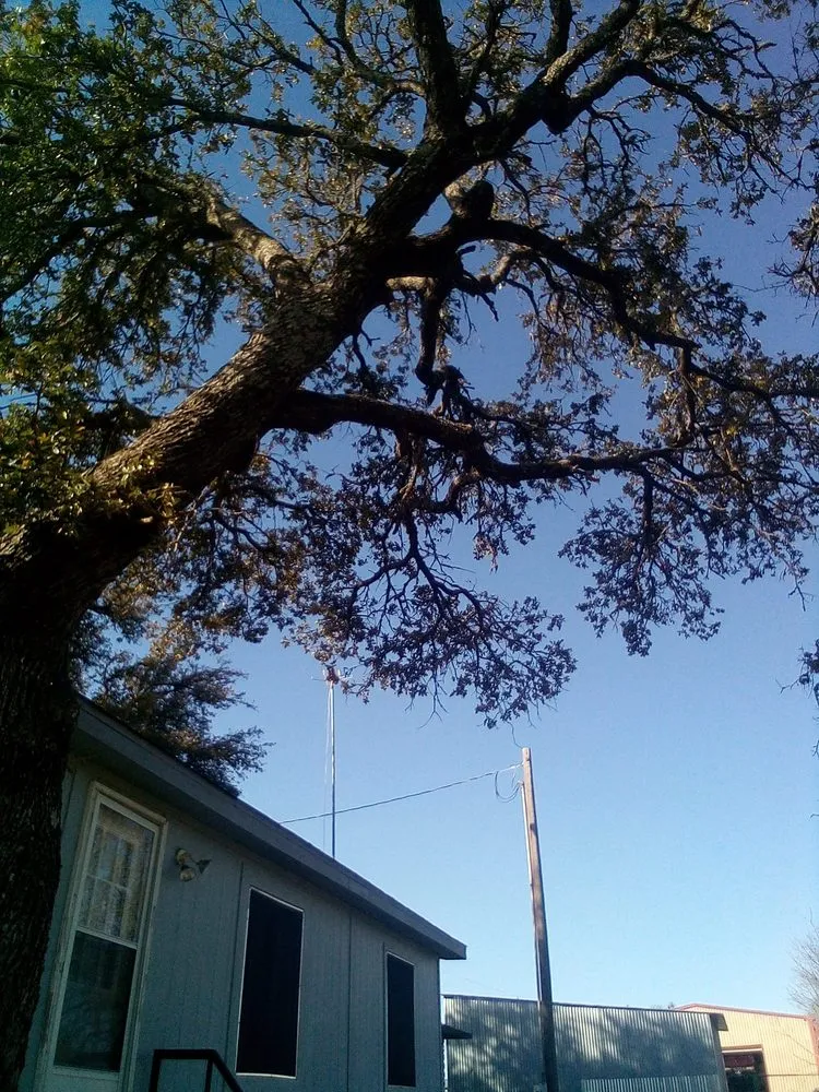 Top-rated yard maintenance for residential properties in Gatesville, TX by All American Wood & Landscape