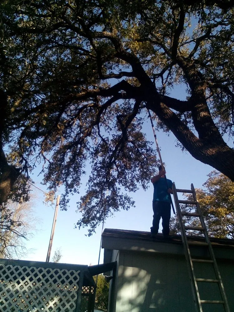 Trusted landscape design experts serving Gatesville, TX - All American Wood & Landscape