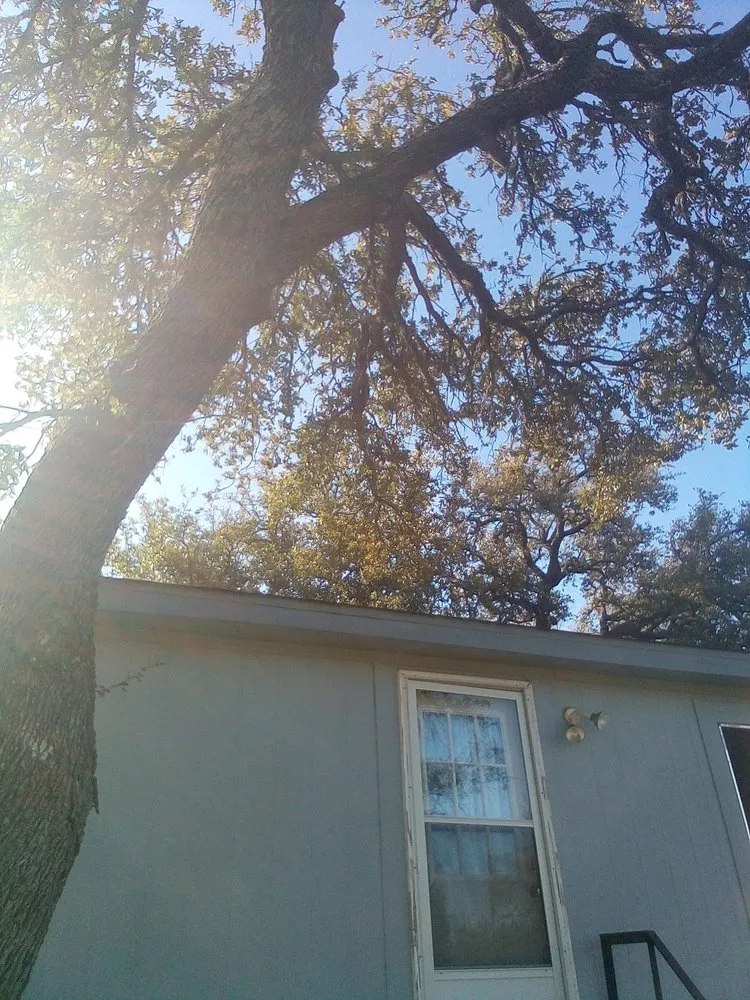 Local lawn mowing service for residential properties across Gatesville, TX - All American Wood & Landscape