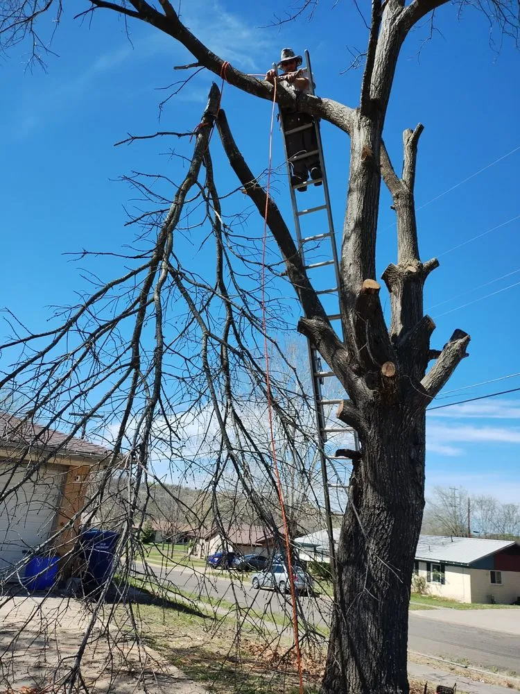 Affordable landscaping services for beautiful yards across Gatesville, TX - All American Wood & Landscape