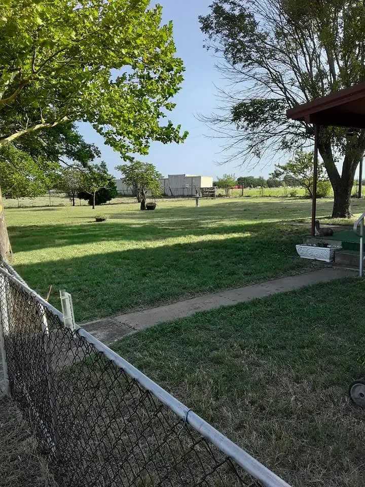 Top-rated yard cleanup service in Gatesville, TX by All American Wood & Landscape