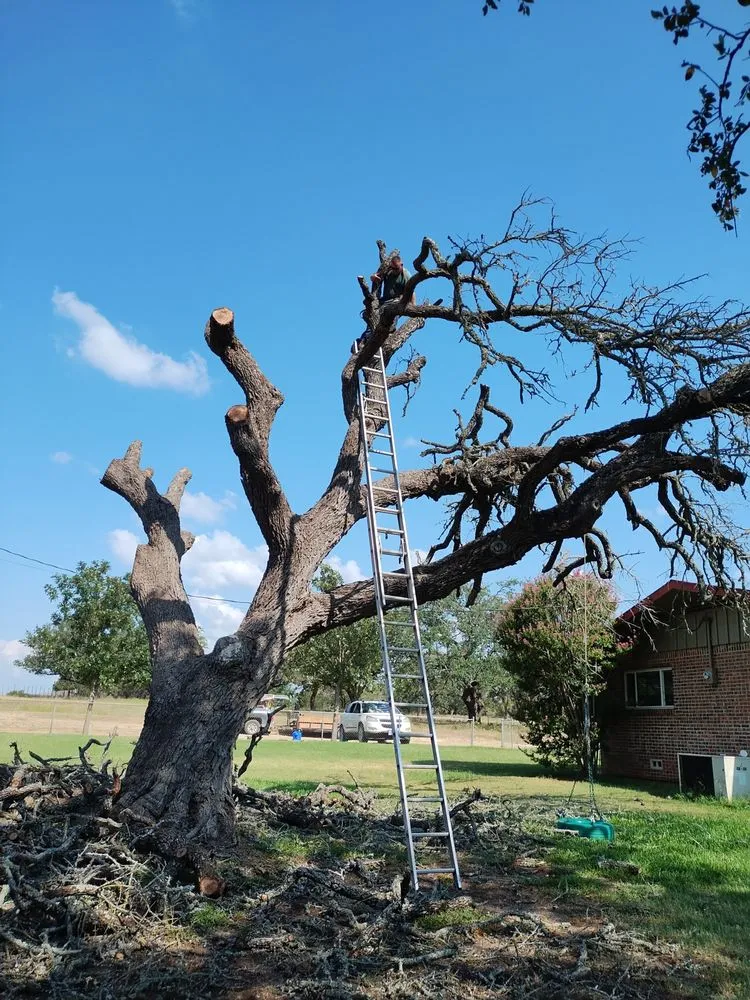 Professional residential landscaping in Gatesville, TX - All American Wood & Landscape