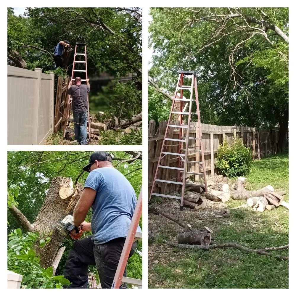 Affordable lawn care service in Gatesville, TX by All American Wood & Landscape