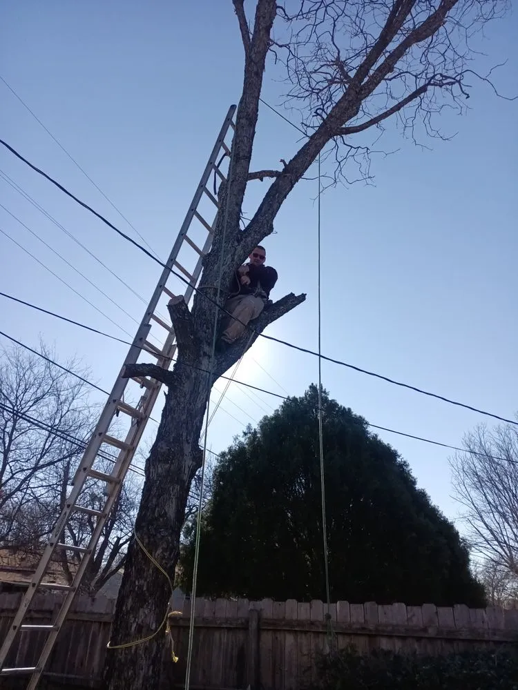 Affordable landscaping services in Gatesville, TX - All American Wood & Landscape