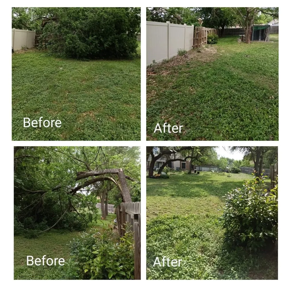 Professional lawn care service experts serving Gatesville, TX - All American Wood & Landscape