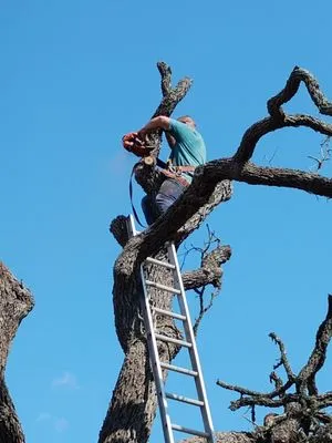 All American Wood & Landscape