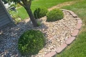Local yard cleanup service experts serving Idaho Falls, ID - All American Yards & Landscape