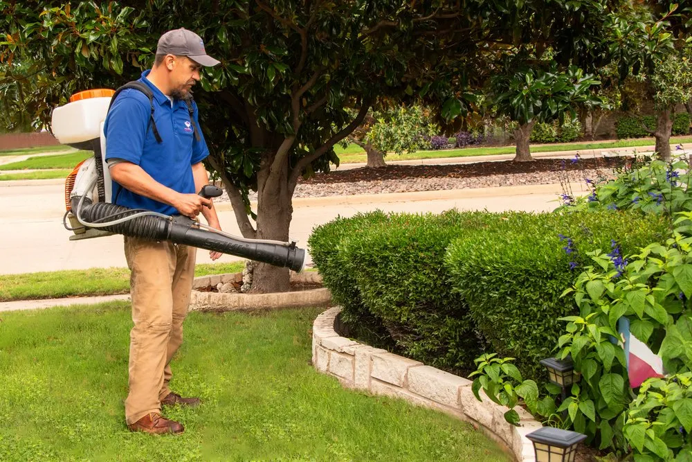 Expert yard maintenance with custom design in Melissa, TX by All American Pest Mosquito and Lawn