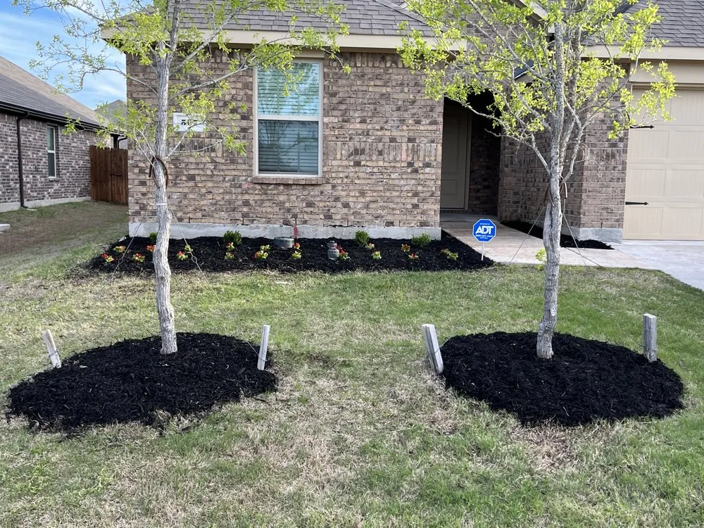 Top-rated lawn mowing service with custom design across Melissa, TX - All American Pest Mosquito and Lawn