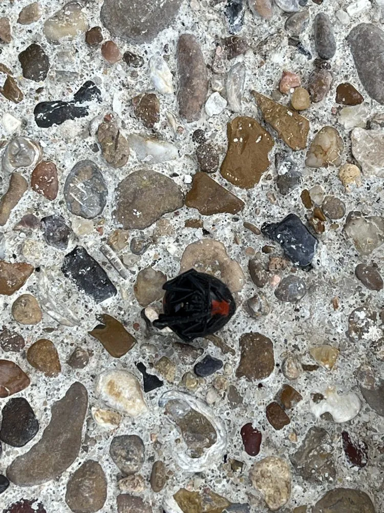 Professional lawn care service in Melissa, TX - All American Pest Mosquito and Lawn