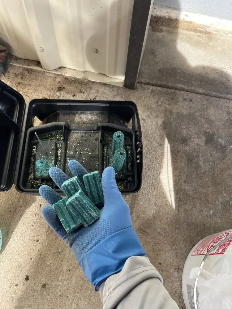 Local landscape design for year-round maintenance across Melissa, TX - All American Pest Mosquito and Lawn