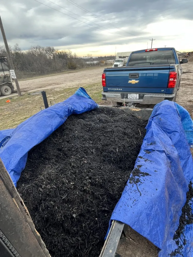 Trusted lawn care service for beautiful yards across Melissa, TX - All American Pest Mosquito and Lawn