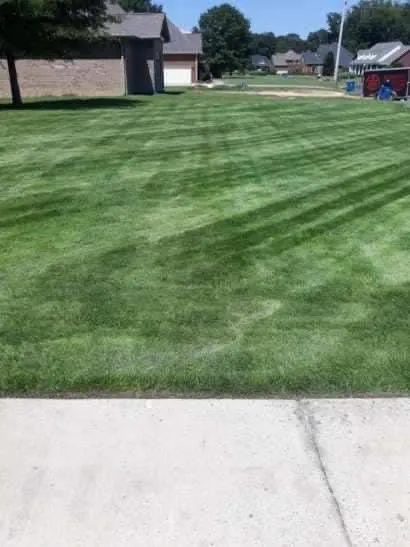 Expert yard cleanup service for homes in Guntersville, AL by All Anerican Lawn Service