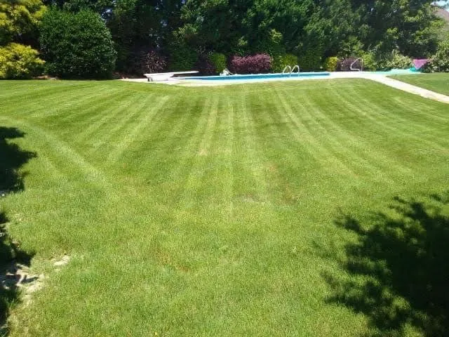 Custom landscaping services experts serving Guntersville, AL - All Anerican Lawn Service