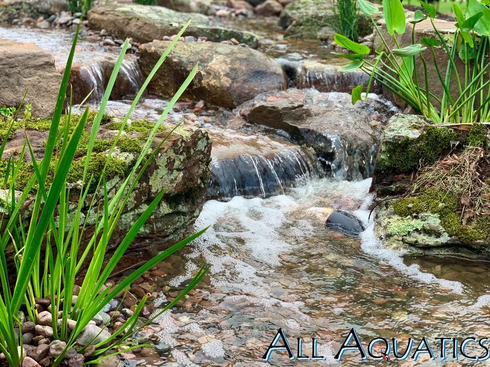 Custom yard cleanup service for residential properties in Allen, TX by All Aquatics
