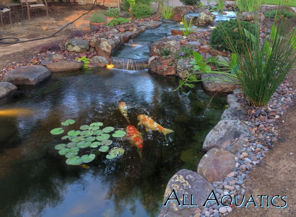 Top-rated residential landscaping in Allen, TX by All Aquatics