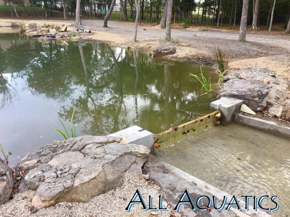 Expert lawn care service experts serving Allen, TX - All Aquatics