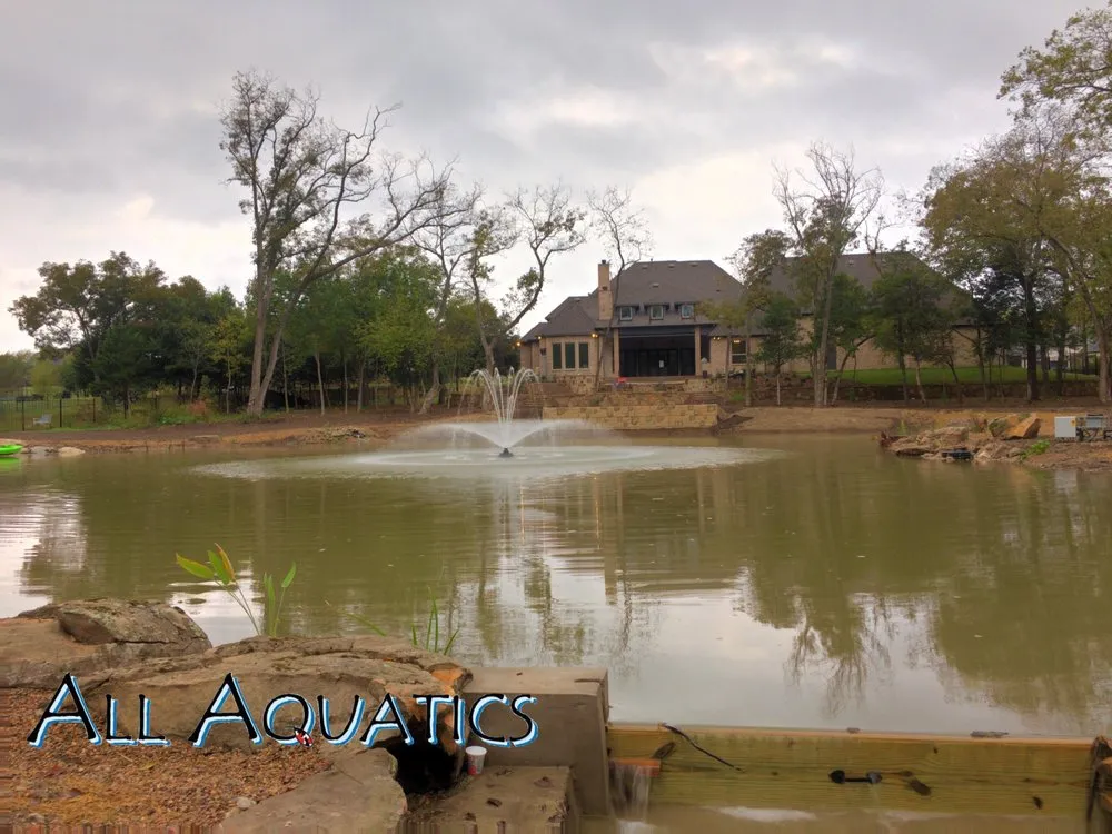 Professional landscaping services for beautiful yards in Allen, TX by All Aquatics