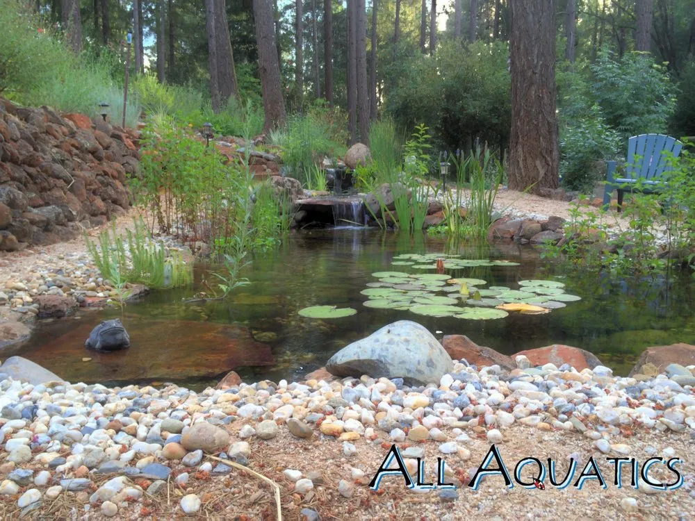 Local landscape design in Allen, TX by All Aquatics