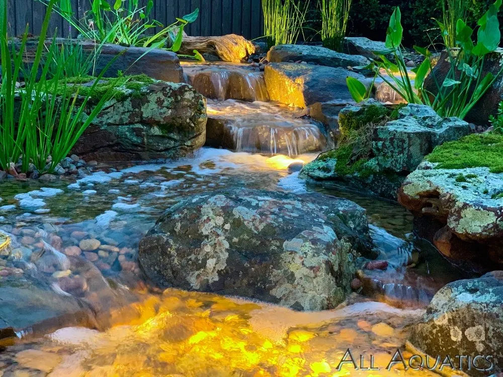 Local yard maintenance near you in Allen, TX by All Aquatics