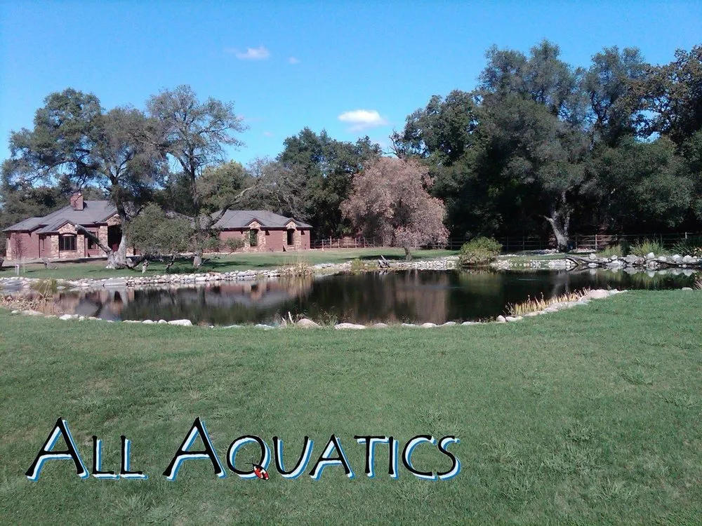 Top-rated landscape design for outdoor upgrades in Allen, TX by All Aquatics
