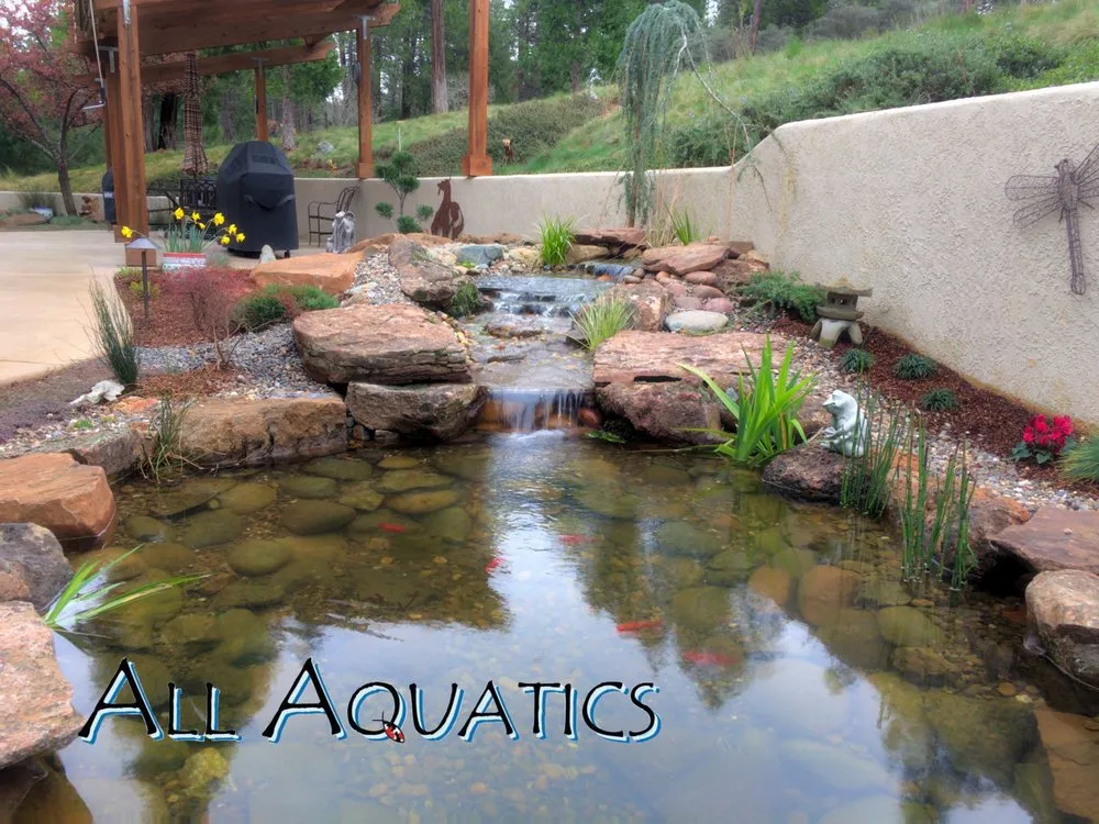 Local outdoor landscaping near you in Allen, TX by All Aquatics