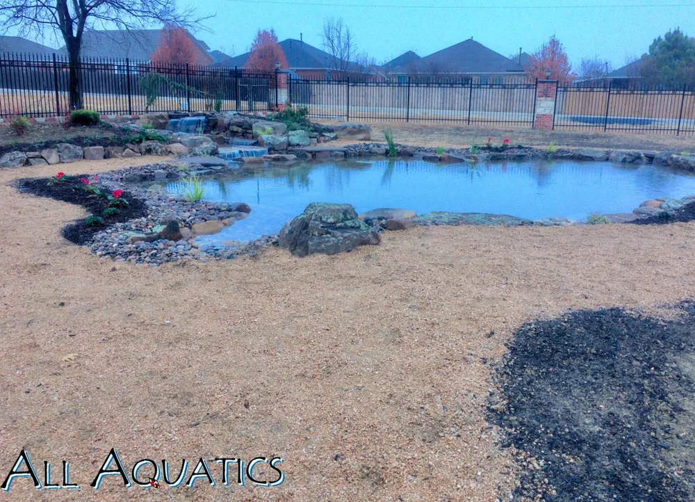 Local lawn care service in Allen, TX by All Aquatics