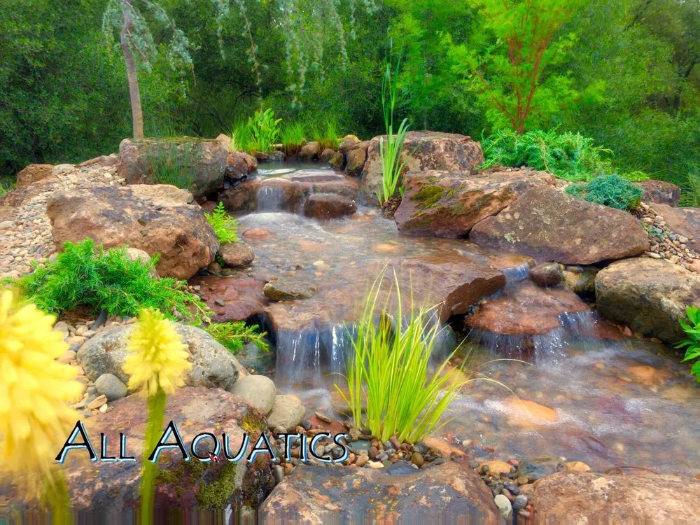 Expert outdoor landscaping experts serving Allen, TX - All Aquatics