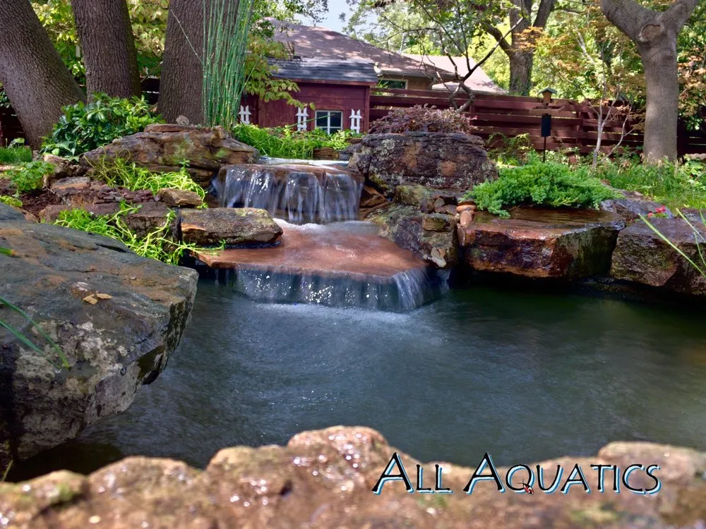 Local yard cleanup service in Allen, TX by All Aquatics