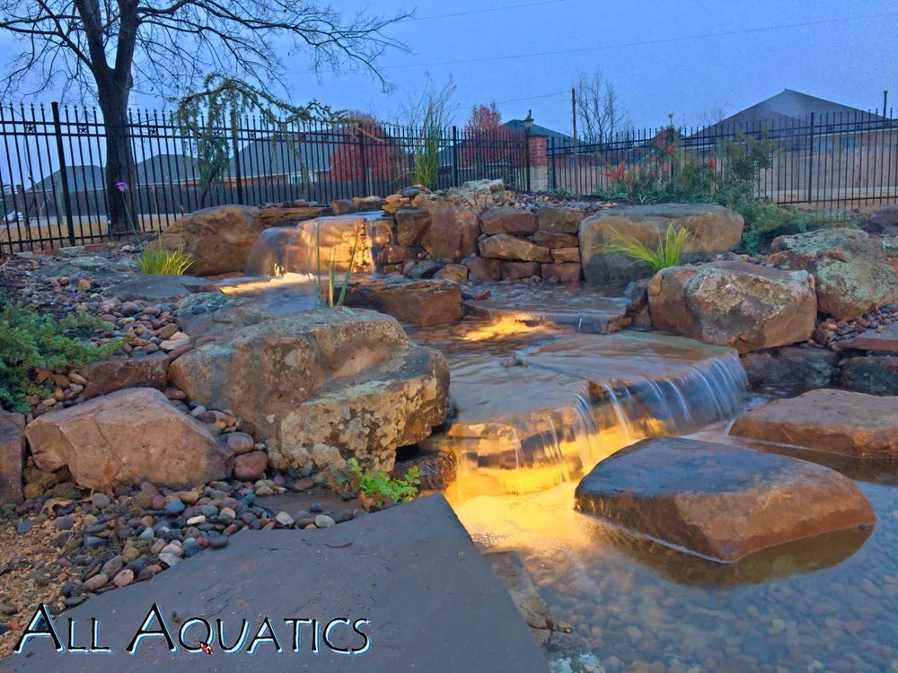 Expert yard cleanup service in Allen, TX by All Aquatics