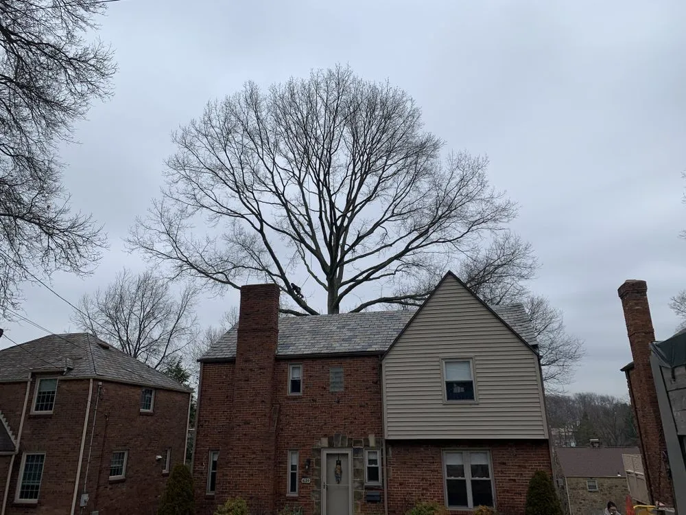 Reliable lawn mowing service in Lock Haven, PA - All Arbor and Land Management