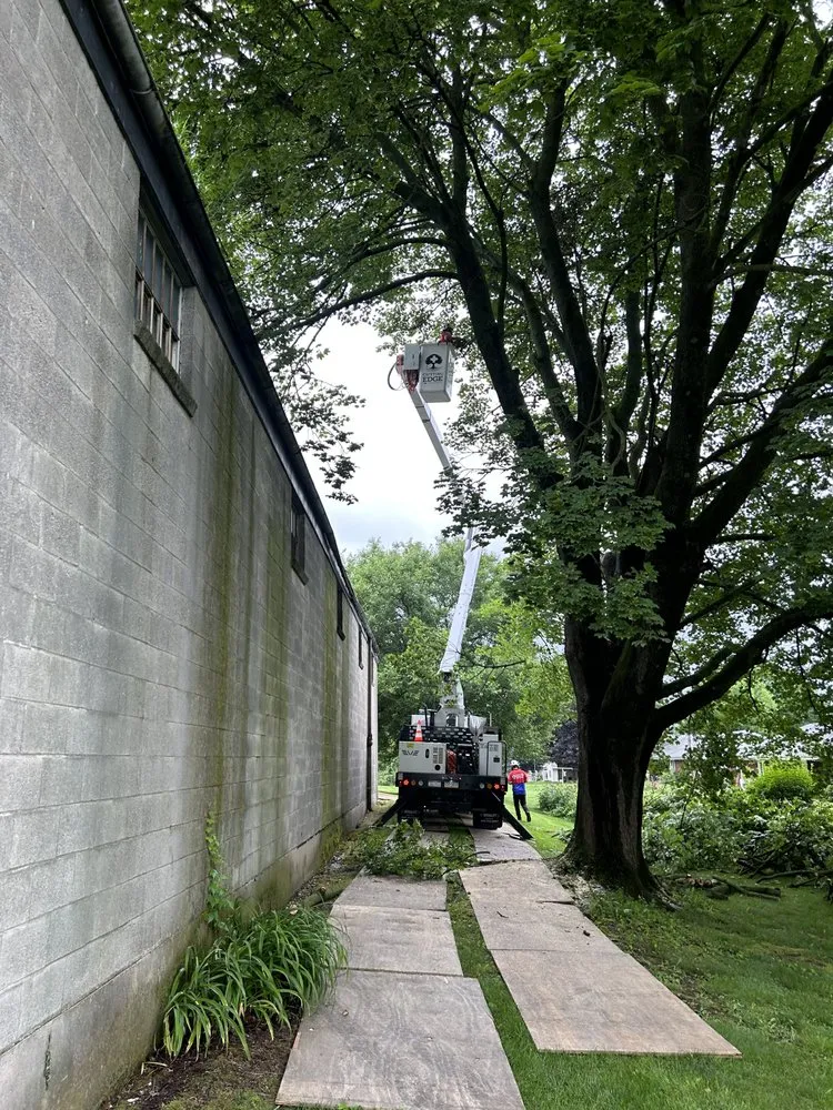 Local outdoor landscaping for homes in Lock Haven, PA by All Arbor and Land Management