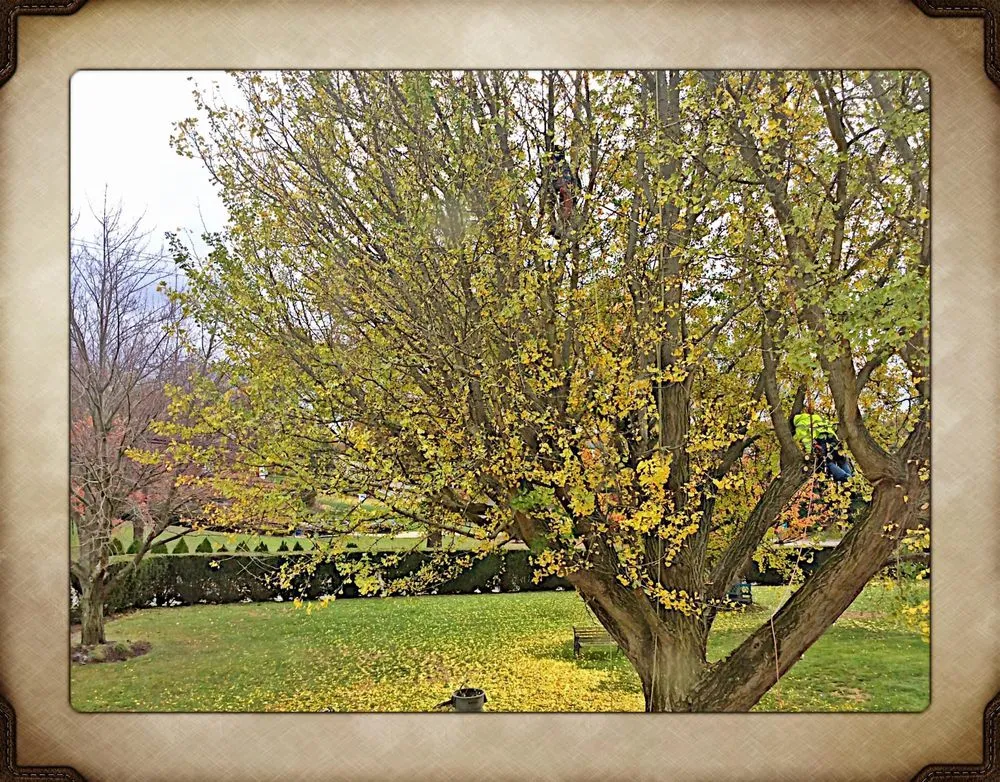 Trusted landscape installation in Lock Haven, PA - All Arbor and Land Management