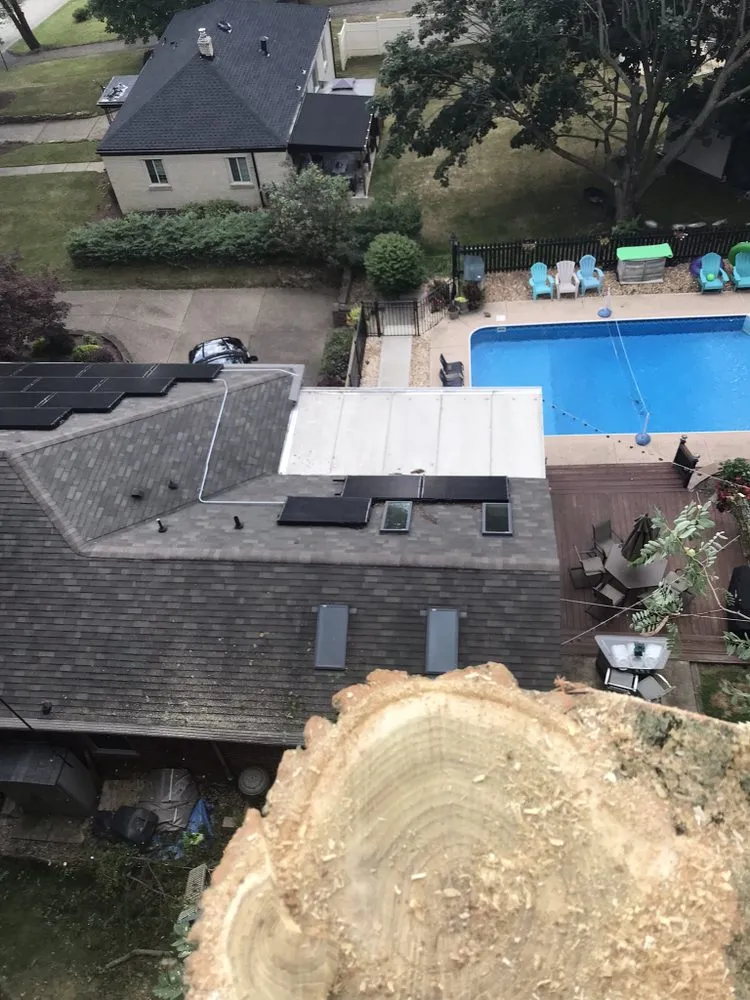 Top-rated garden landscaping for homes in Lock Haven, PA by All Arbor and Land Management