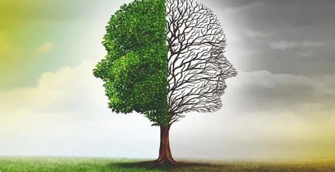 Affordable garden landscaping in Lock Haven, PA - All Arbor and Land Management