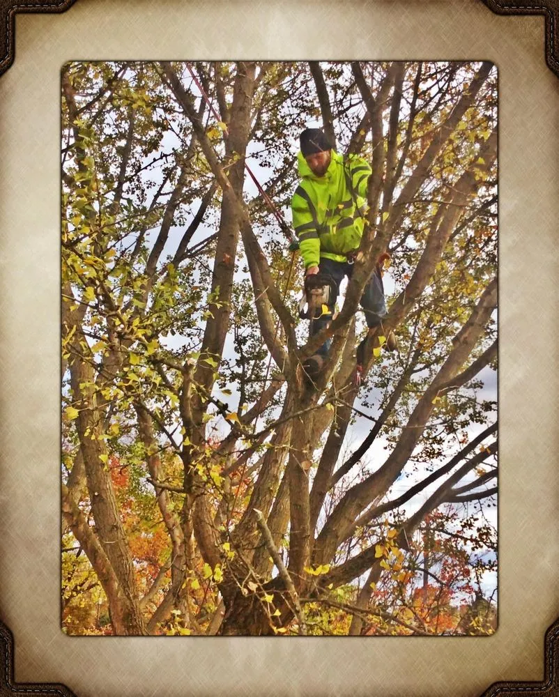 Local lawn care service near you in Lock Haven, PA by All Arbor and Land Management