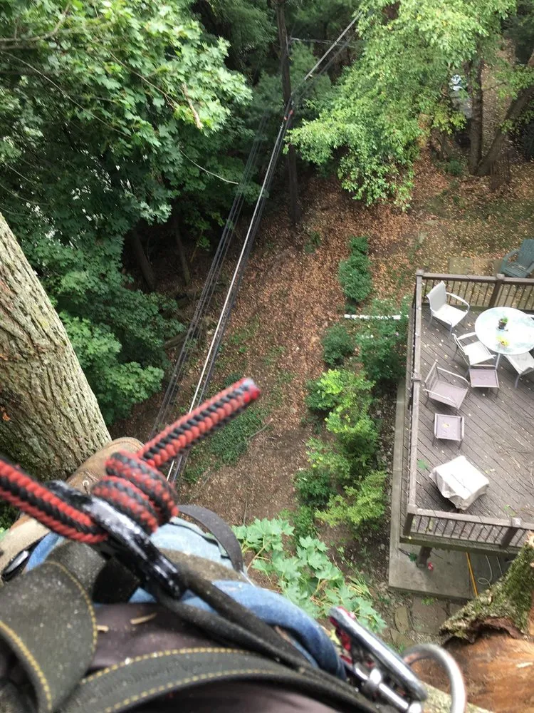 Professional lawn mowing service near you in Lock Haven, PA by All Arbor and Land Management