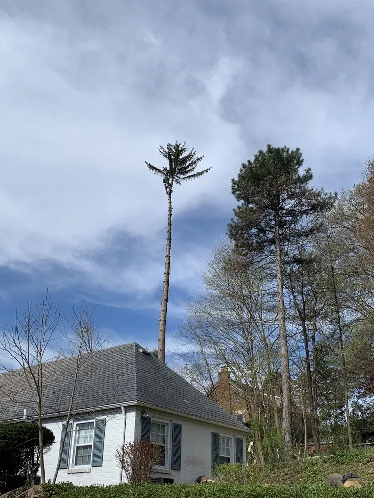 Expert garden landscaping for year-round maintenance across Lock Haven, PA - All Arbor and Land Management