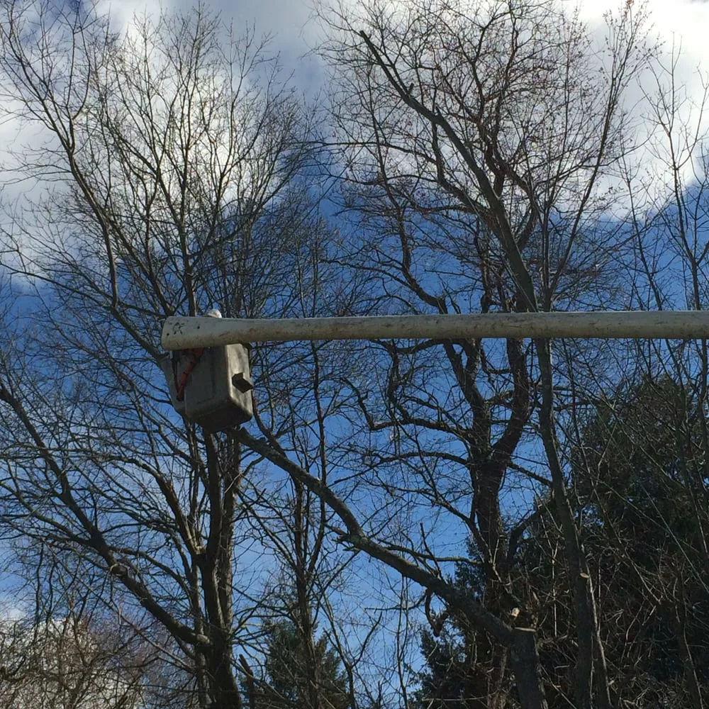 Custom landscaping services in Hamden, CT by All Area Landscaping & Tree Service