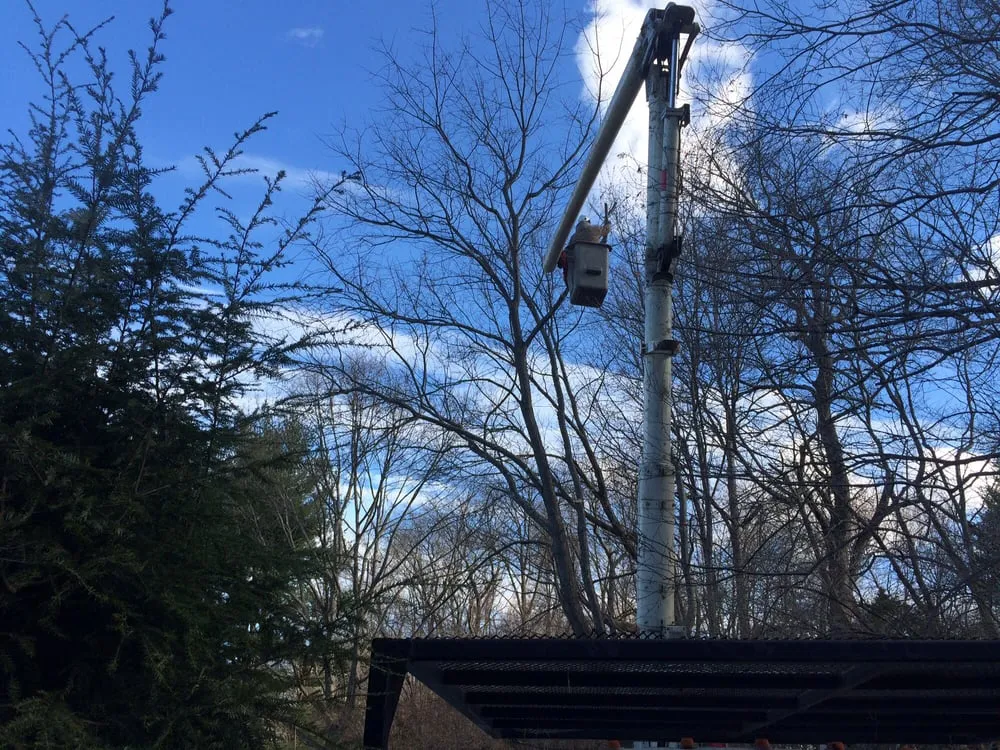 Trusted residential landscaping for outdoor upgrades across Hamden, CT - All Area Landscaping & Tree Service