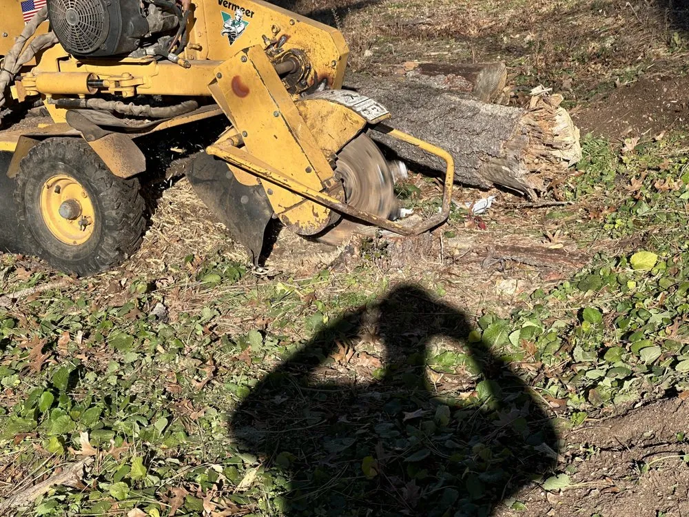 Local yard maintenance in Mountain Grove, MO - All Around Affordable Tree and Lawn